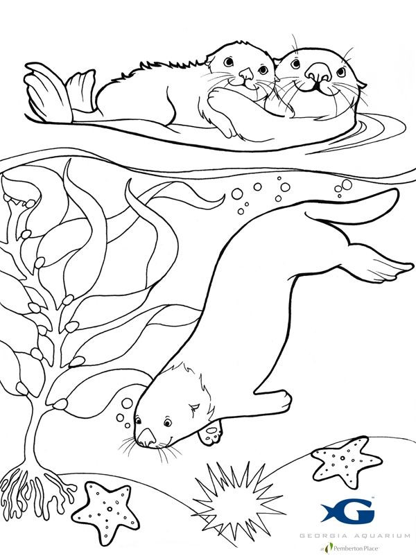 600x802 River Otter Coloring Pages Inspirational 12 Best Sea Otters Images