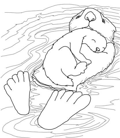 416x480 River Otter Coloring Pages New Otter Outline Drawing