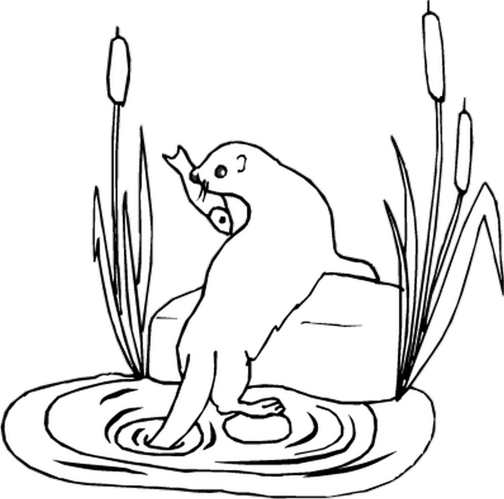 1024x1014 Otter