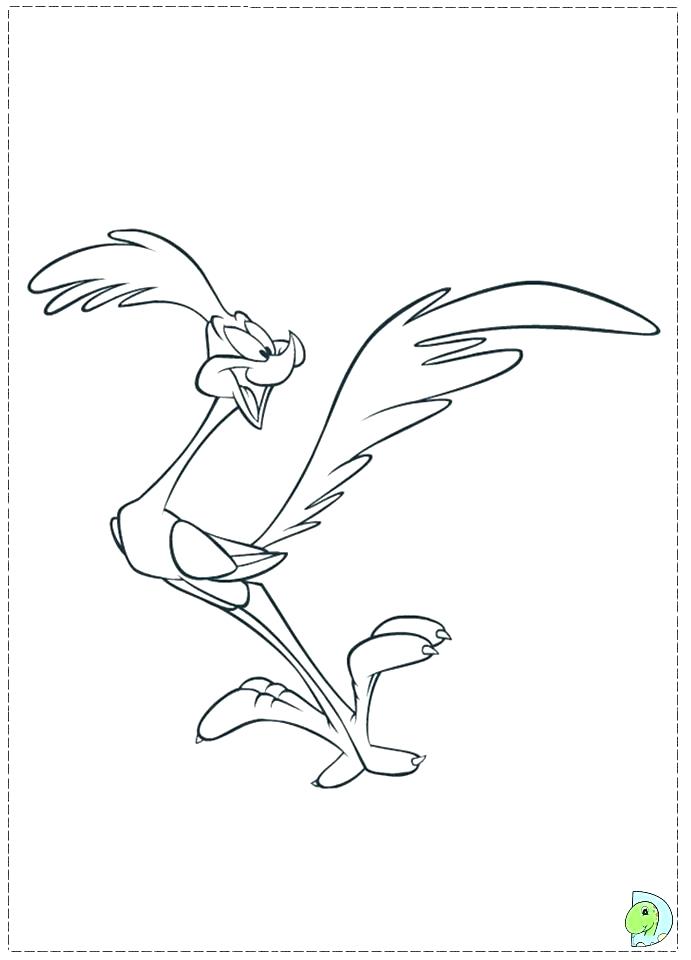 691x960 Road Runner Coloring Page Pin Roadrunner Baby 1 Road Runner Road