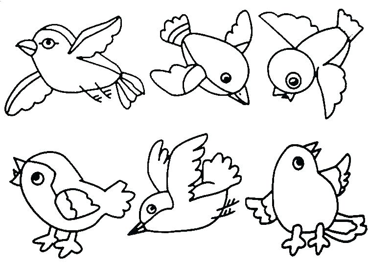 Robin Bird Coloring Pages