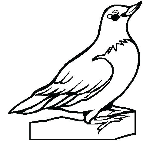 505x470 Printable Bird Coloring Pages Printable Bird Coloring Pages Blue