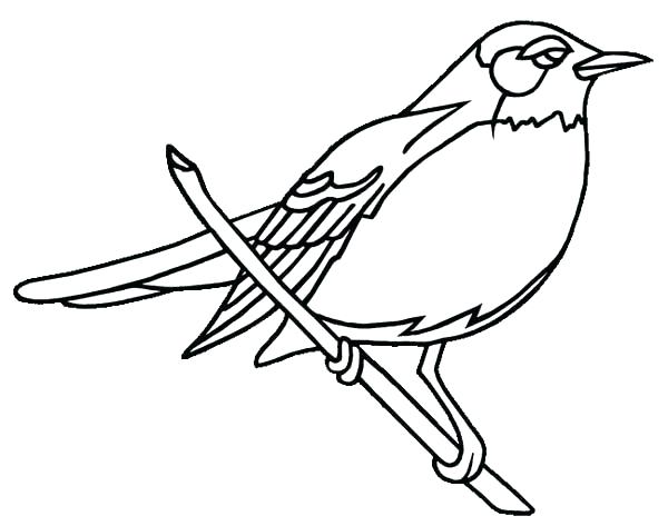 600x473 Robin Bird Coloring Pages Robin Bird Coloring Pages State Page Red