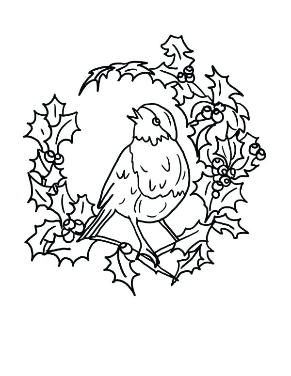 600x776 Robin Bird Colouring Pages Printable Coloring Robin Coloring Page