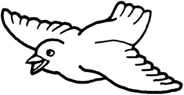 600x312 Tweety Bird Coloring Pages Free Printable Birds Page X Robin