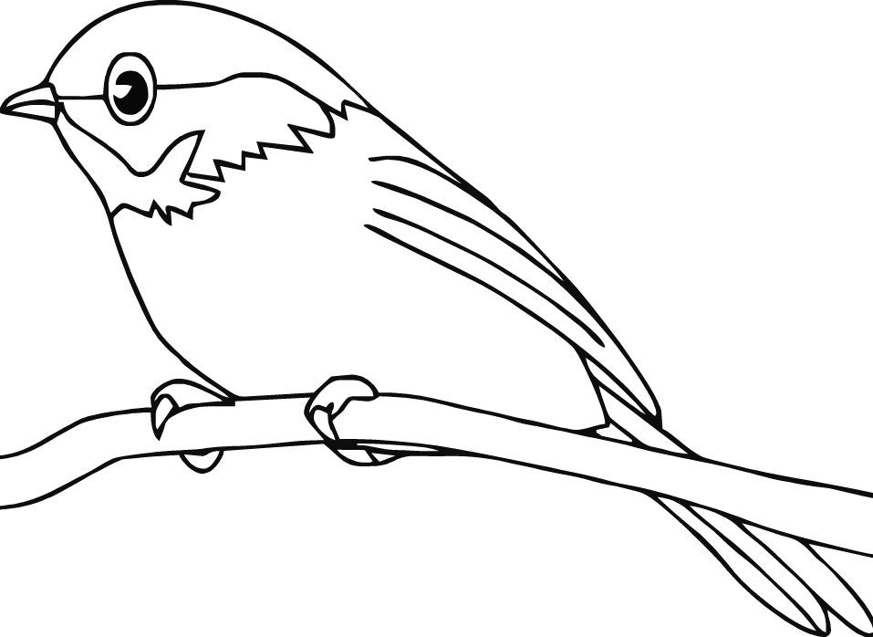 Robin Coloring Pages