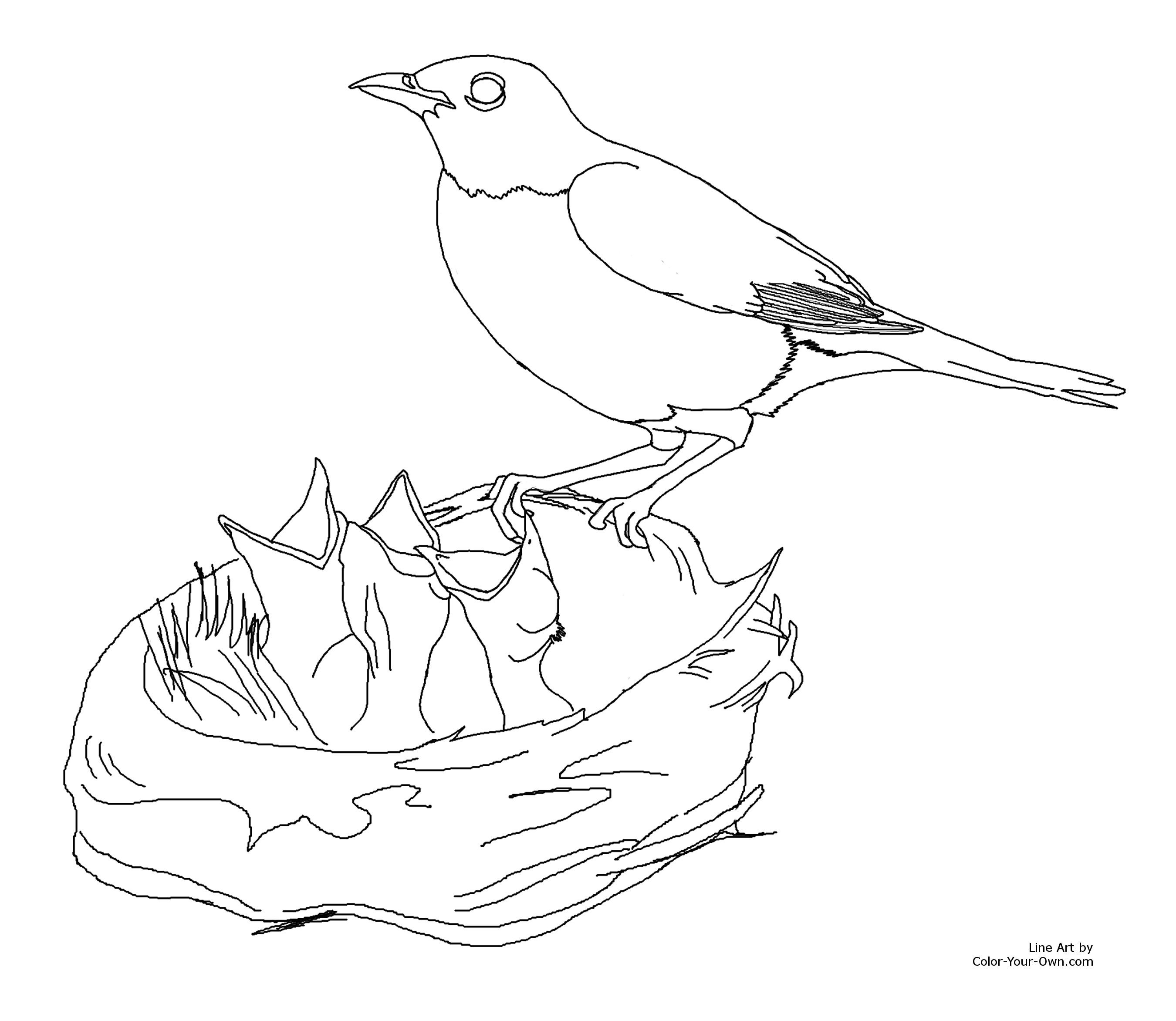 2700x2344 Printable Size Here Return The Coloring Pages Index Robin