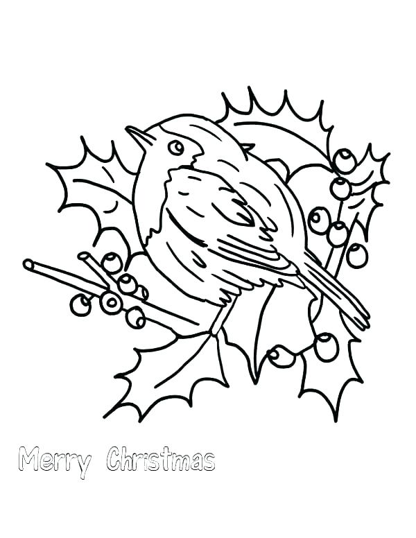 600x776 Red Robin Bird Coloring Pages Printable Coloring Robin Coloring