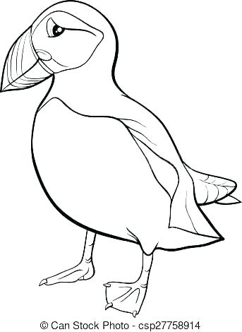343x470 Rock Coloring Pages Rock Coloring Page Rock Coloring Pages Puffin
