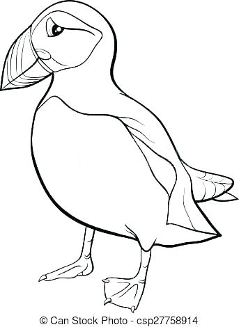 343x470 Rock Coloring Pages Rock Coloring Pages Puffin Coloring Page