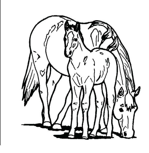 600x613 Rocking Horse Coloring Pages Horse Eating With Baby Horse