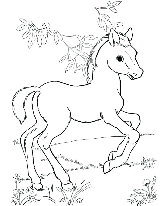 670x820 Window Color Also Cute Horse Coloring Pages For Kids Rocking Horse