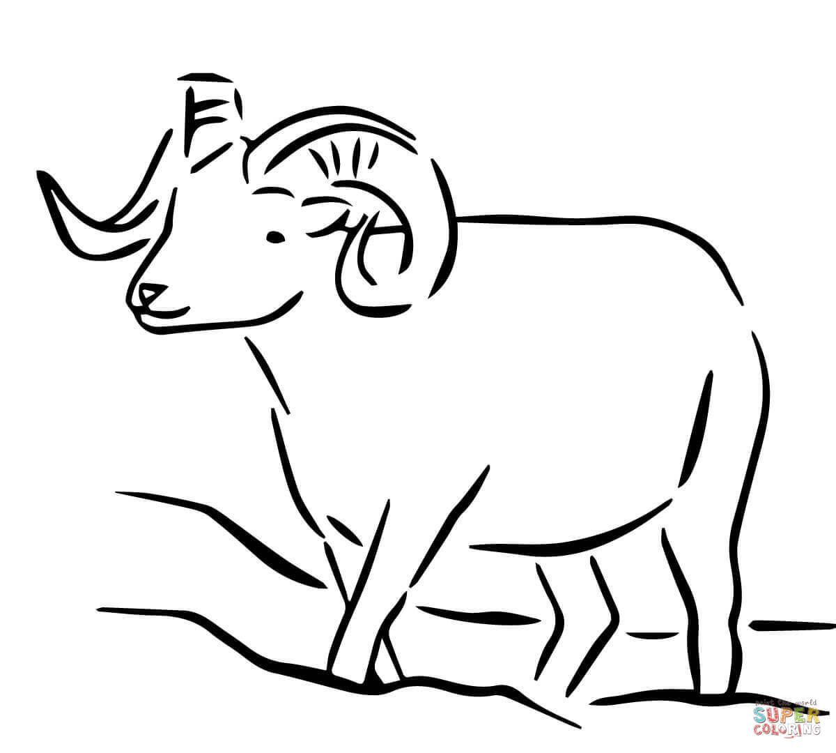 1200x1080 Rocky Mountain Bighorn Sheep Drawing