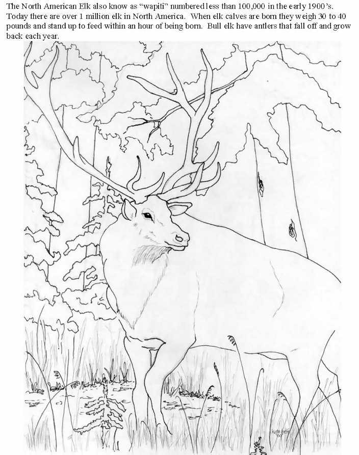 704x893 Free Coloring Pages Of Mountains Lovely Rocky Mountains Drawing