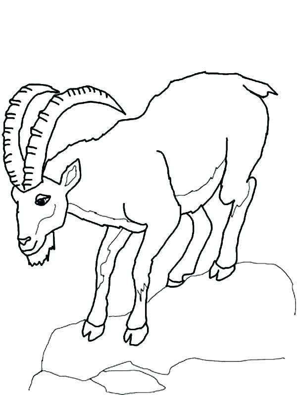 600x799 Coloring Pages Of Mountains Coloring Pages Mountains Desert