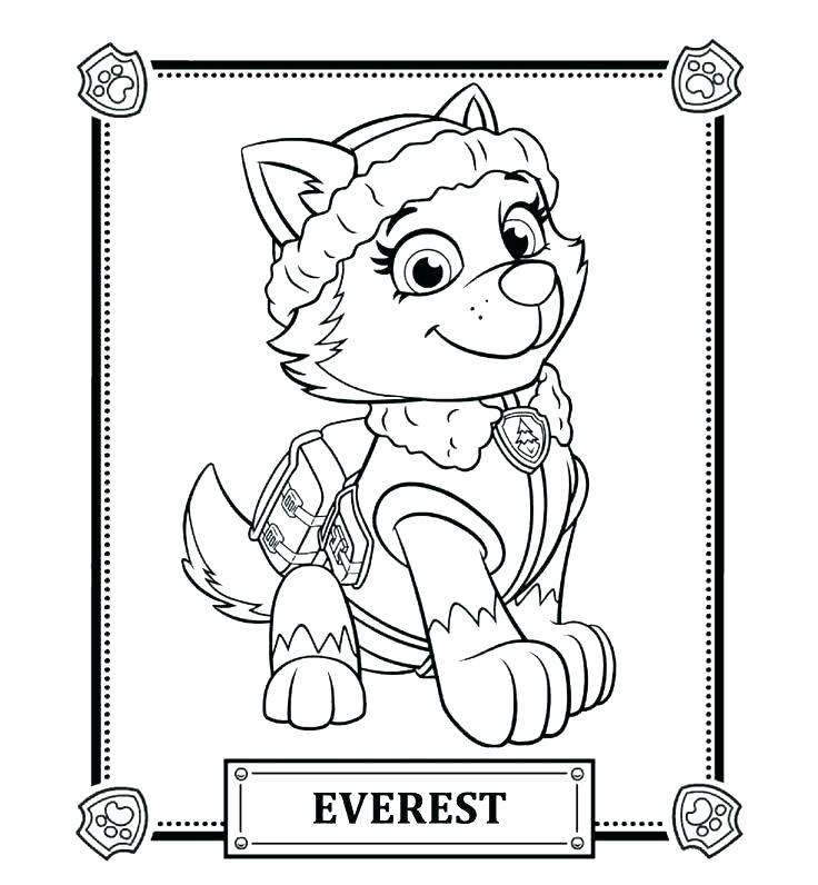 736x796 Rocky Paw Patrol Coloring Page Coloring Paw Patrol Paw Patrol