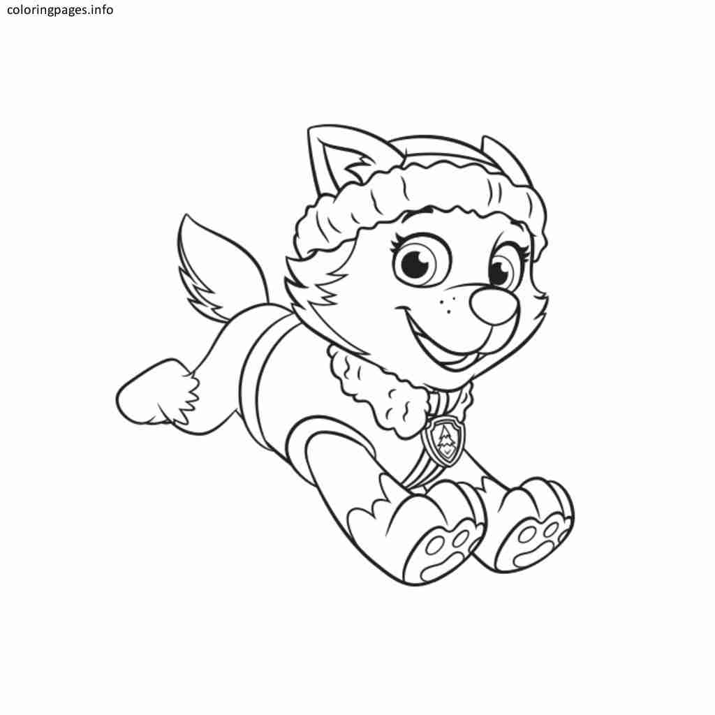 1024x1024 Cartoons Everest And Rocky Paw Patrol Coloring Pages For Kids