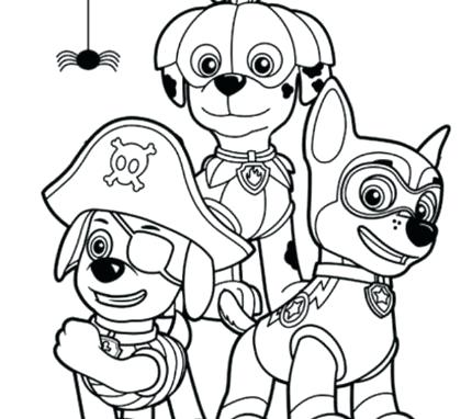 430x382 Colouring Pages Paw Patrol Coloring Pages Paw Patrol Zuma