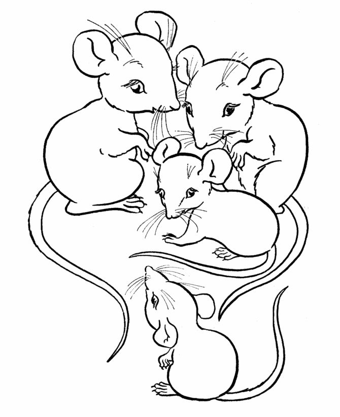 Rodent Coloring Pages