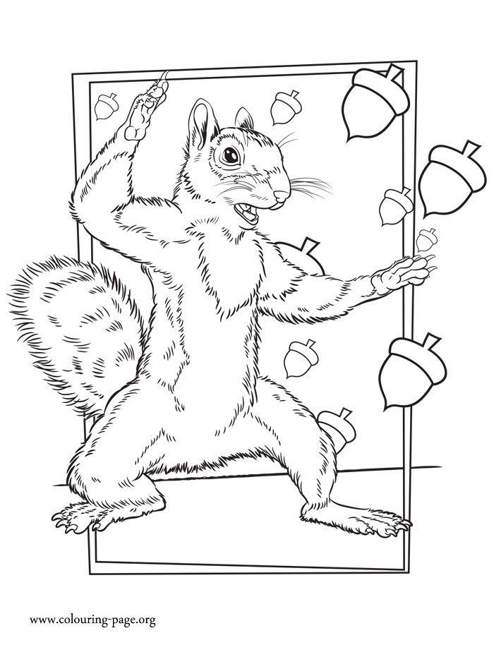 700x914 How About To Print And Color The Rodent She Is A Squirrel Who