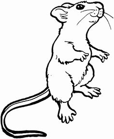 236x288 Mice With Sharp Teeth Mice Rodent Coloring Pages