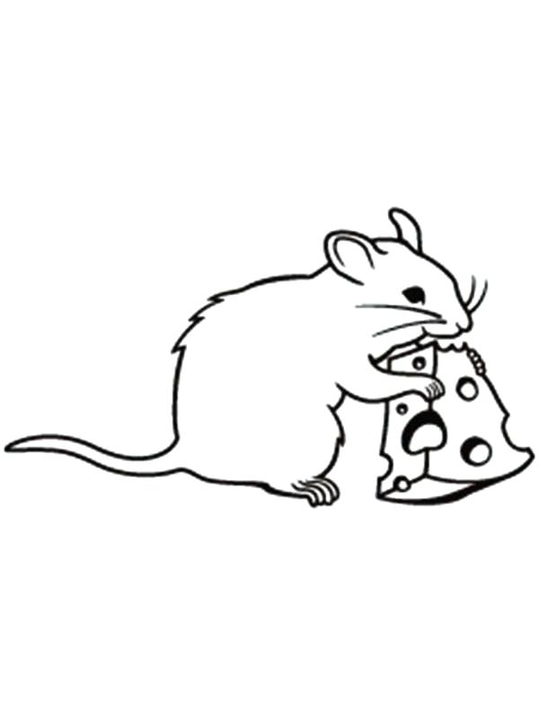 600x800 Rat Pictures To Color Mouse And Rat Is Smiling Coloring Pages