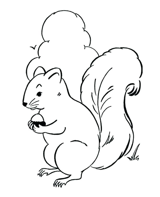 670x820 Woodland Animals Coloring Pages Woodland Animals Coloring Pages