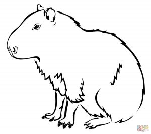 300x266 Capybara The Largest Extant Rodent In The World Download
