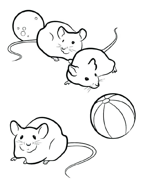 600x775 Coloring Pages With Mice Mouse Good Page 64