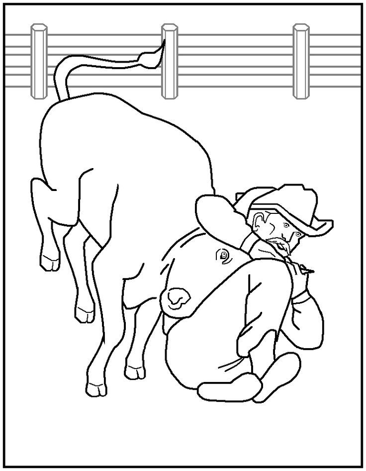 736x947 40 Best Color Horsesrodeo! Images On Rodeo, Adult