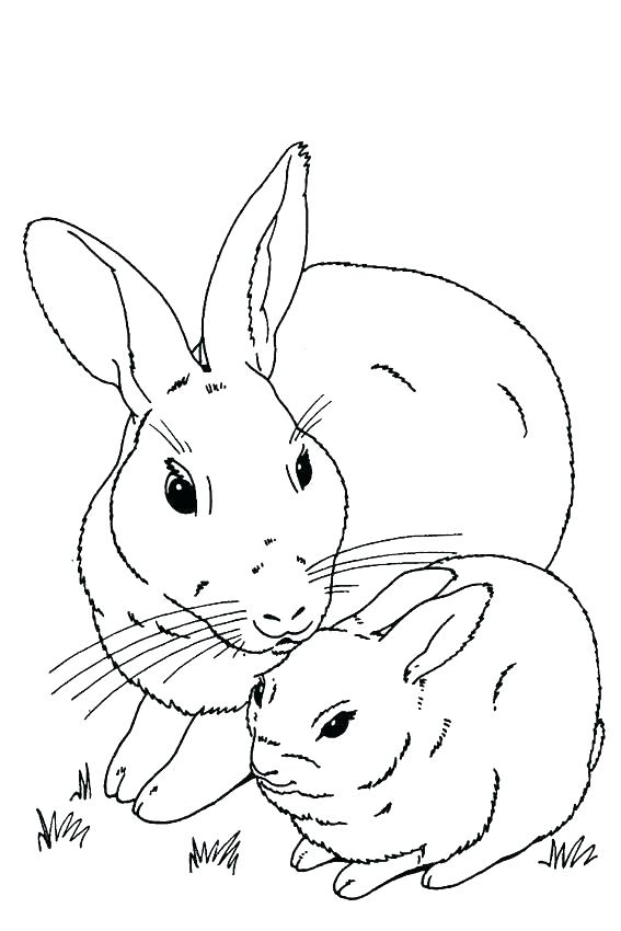 Roger Rabbit Coloring Pages