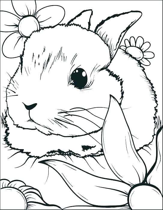 543x700 Coloring Pages Of Bunnies Rabbit Coloring Page Bunnies Coloring