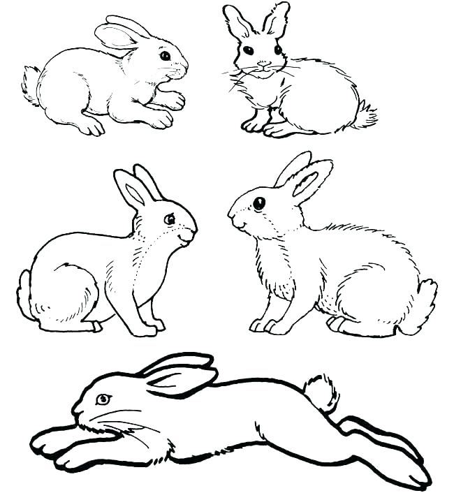 650x706 Roger Rabbit Coloring Pages Roger Rabbit Coloring Pages Rabbit