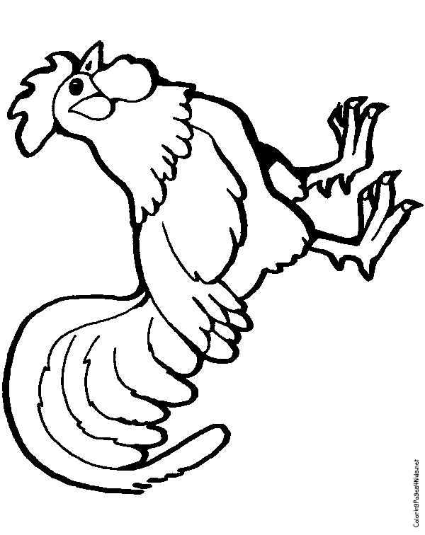 600x756 Rooster 2 Coloring Page Download And Printable