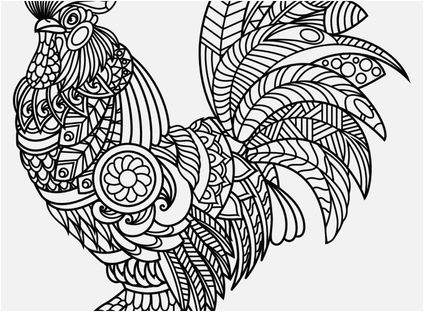 827x609 Rooster Coloring Page Gallery Rooster Coloring Pages Coloring