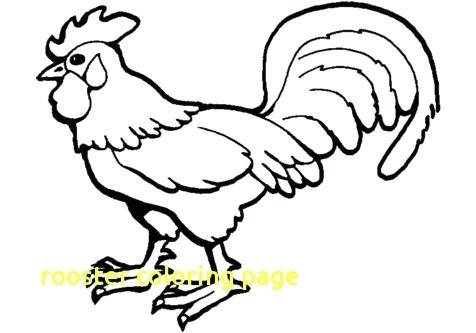 476x333 Rooster Coloring Page Rooster Coloring Luxury Rooster Coloring E