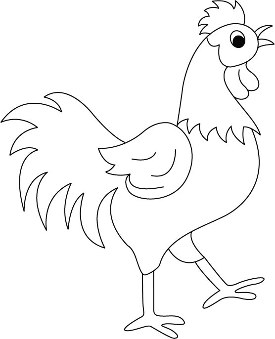 556x686 Rooster Coloring Pages