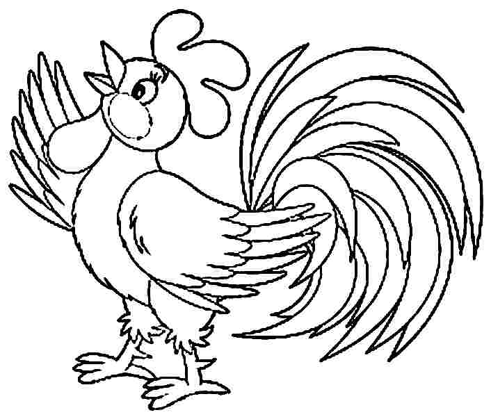 706x600 Rooster Coloring Pages Spectacular Idea Rooster Coloring Page