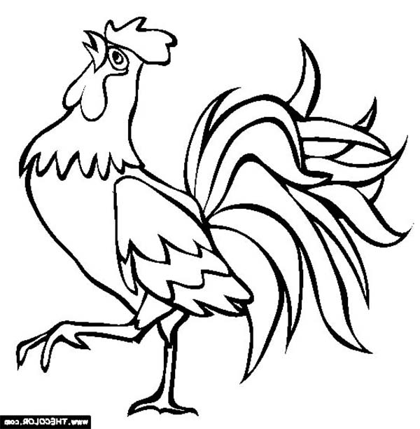 600x612 Fresh Rooster Coloring Page 37 About Remodel Line Drawings