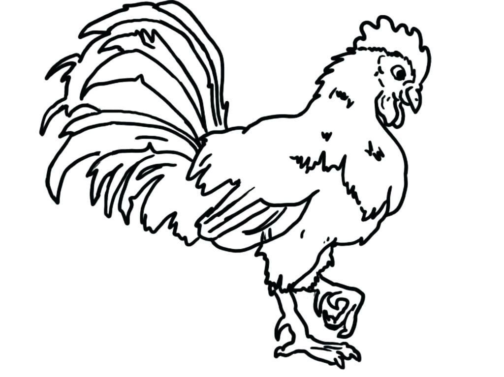 1024x767 Rooster Coloring Page Awesome Rooster Coloring Pages New Spring