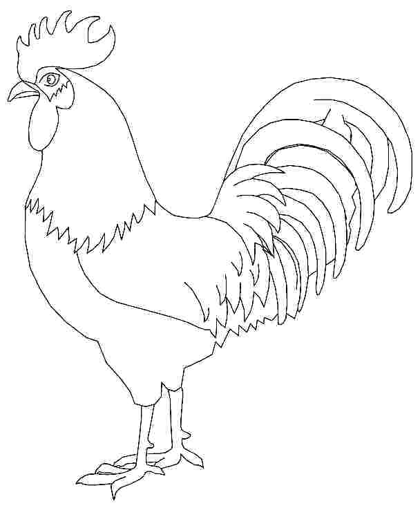 608x735 Rooster Coloring Pages Addition Ter Coloring Sheet New Year