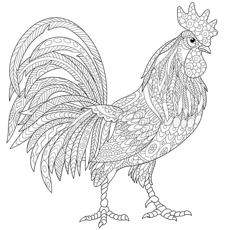 800x800 Zentangle Stylized Cartoon Rooster (Cock), Isolated On White