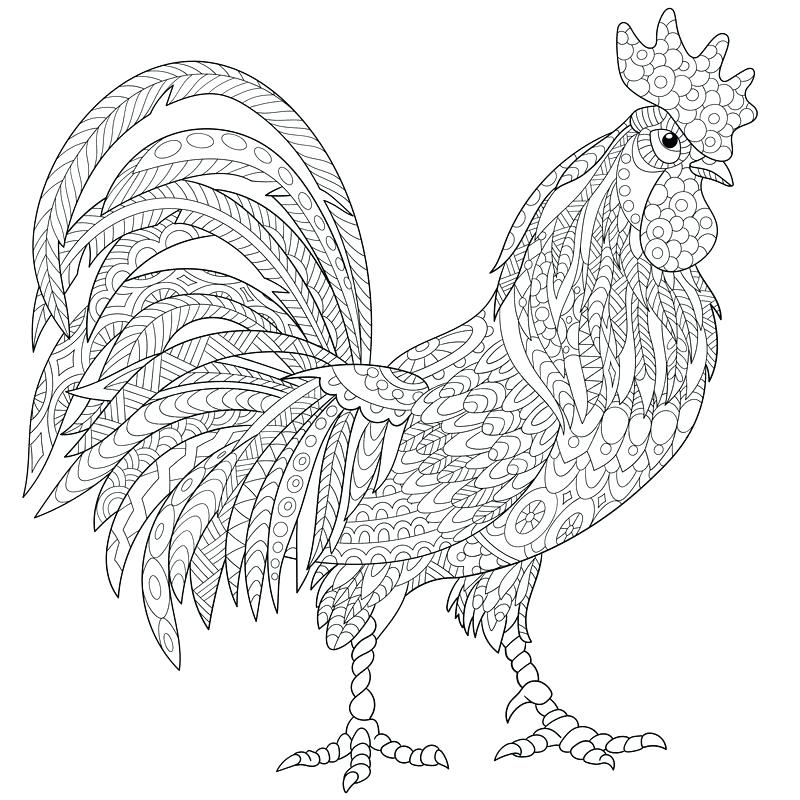 800x800 Best Of Rooster Coloring Page And 25 Rooster Craft Coloring Pages