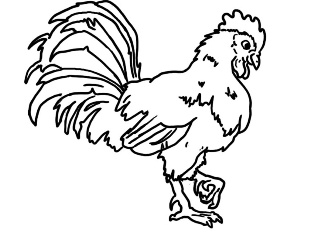 1024x767 Rooster Coloring Pages Colouring Pictures In The Morning Farm