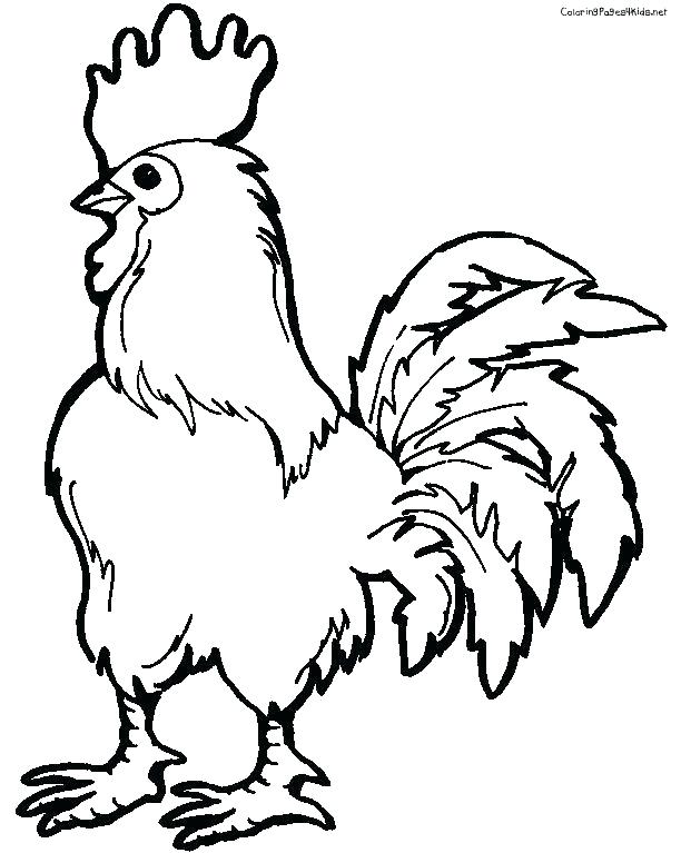 612x767 Rooster Coloring Ashleyoneill.co