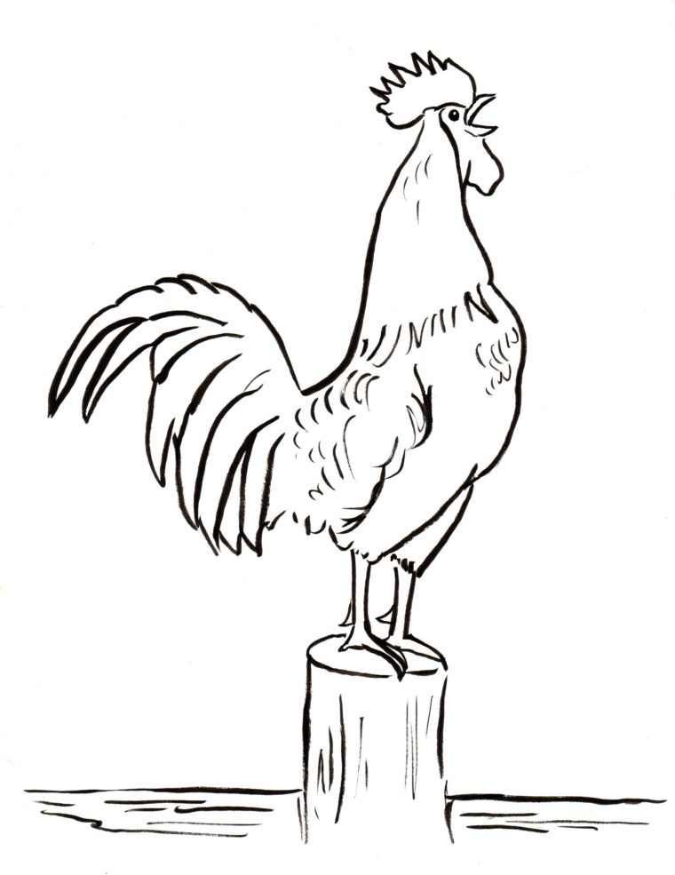760x985 Free Rooster Coloring Pages Rooster 2 Coloring Page Download