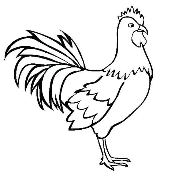 600x612 Rooster Coloring Page Rooster Coloring Page Coloring Pages Free