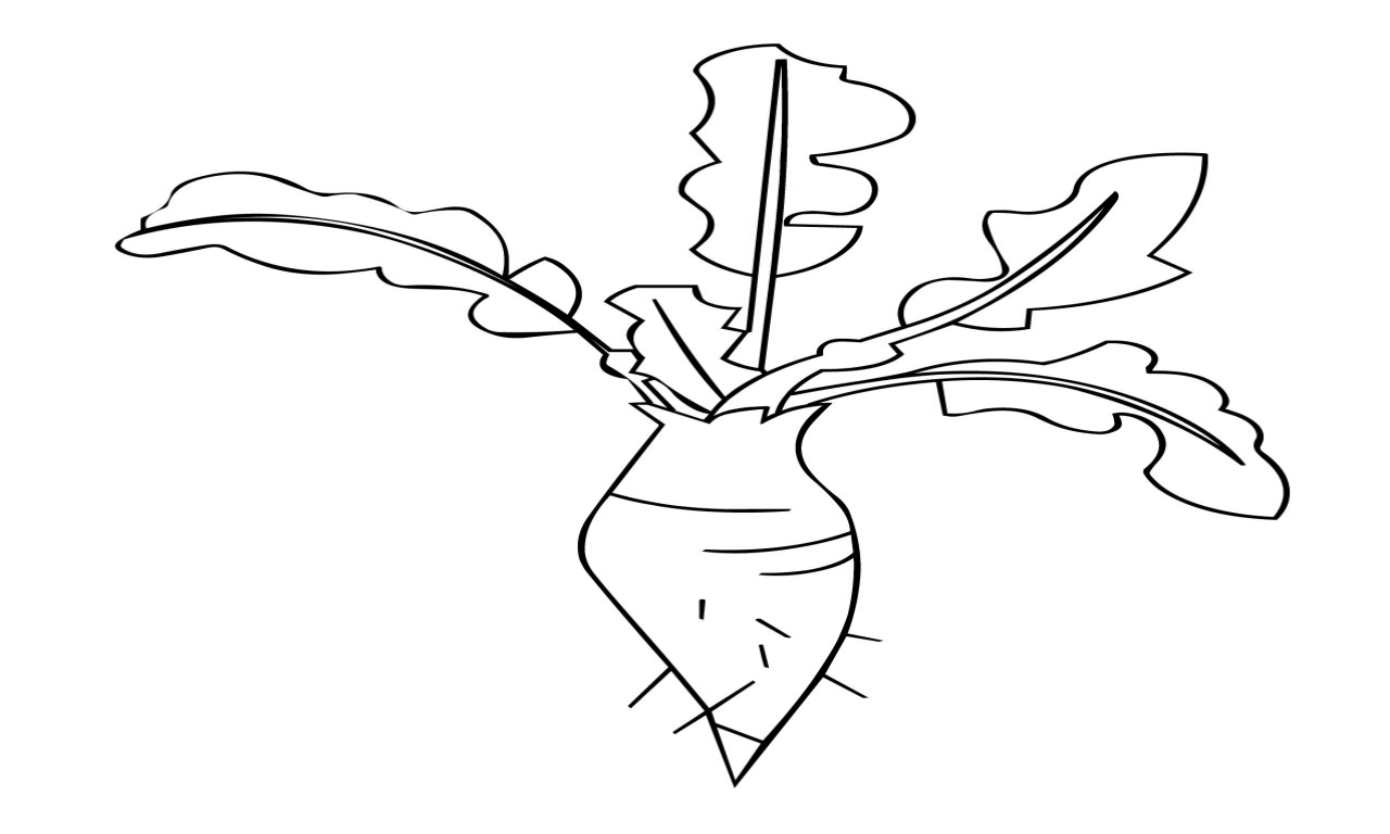 1280x768 Root Vegetables Coloring Pages Vegetable