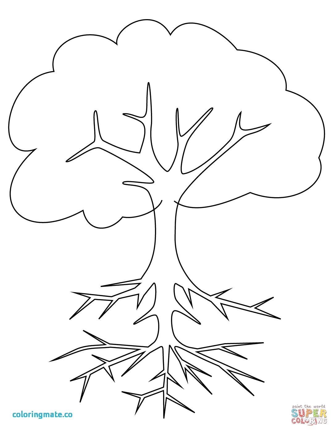 1082x1400 Tree Printable Coloring Page Awesome Fall Tree Coloring Page Free