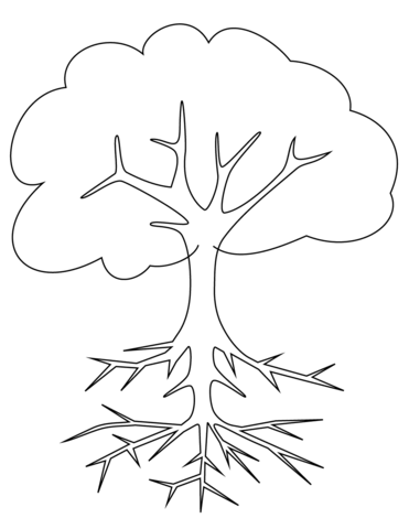 371x480 Tree With Roots Coloring Page Trees Roots, Daycare